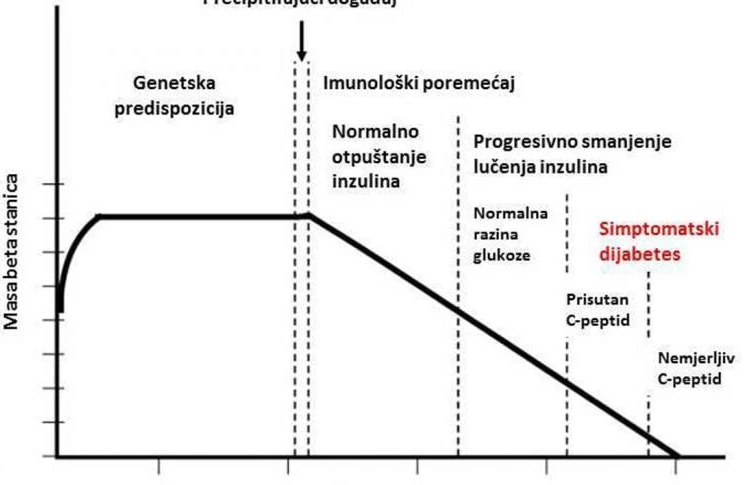 Dijabetes tip 1 – uzrok i faze bolesti