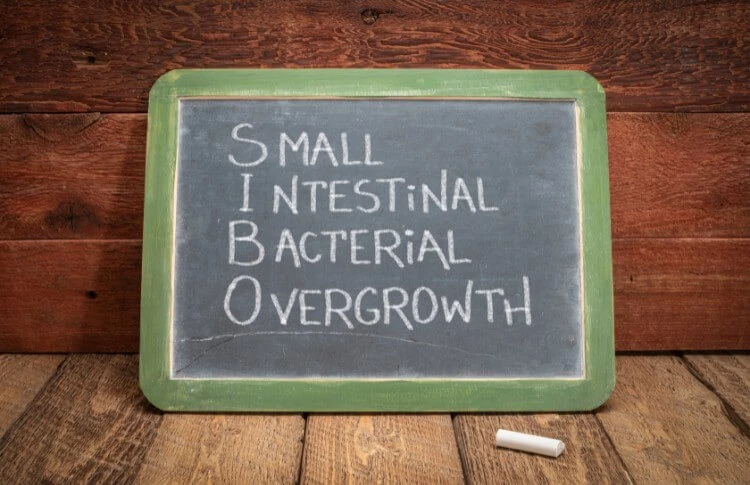 SIBO simptomi, testiranje i prehrana